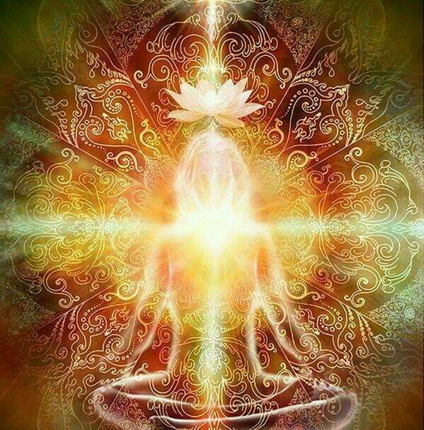 Fomule perte de poids 1 44eb2f0a b90a 475b b857 38a7f23b6e62